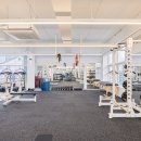 머슬큐어 이미지