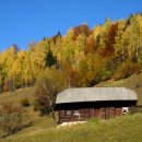 뉴힐링펜션 이미지