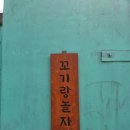 꼬기랑놀자