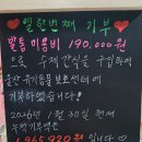 남창애견샵 복실강아지 | 남창애견샵복실강아지..11번째 돼지 잡는 날..