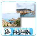 낙화암 쌍바위 | 울산 대왕암공원 맛집 출렁다리 고래턱뼈 낙화암 태연 펫키지 촬영장소