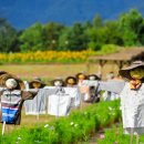 Flower Garden 이미지