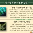 진아화장품 이미지