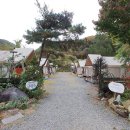 별빛마루 이미지