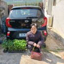 제일이용소 이미지