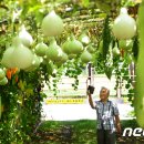 전주우리밀영농조합 이미지
