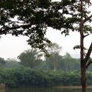 사파이어 골프 이미지