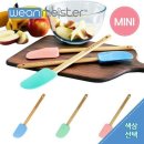 마이스터
