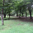 서호우체국 이미지