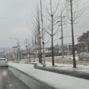 제주할망돈가 이미지