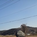 용연2통 이미지