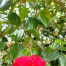 진해 골프랜드 이미지