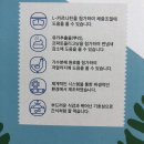 퍼피앤유 | 위벳 로우파이브 :: 스탠다드푸들 건강한 강아지 천연 수제사료 후기