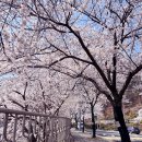 보문산 산책길 | 대전 보문산 감성 베이커리 카페 ‘멜뷰(MELVUE)’ 방문후기