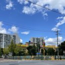 대안공인중개사사무소 이미지