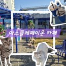아스클레페이온카페