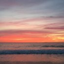 노르웨이의 숲 이미지