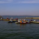 간월도항 이미지