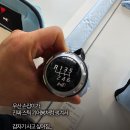 umbrella 이미지