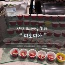 디오디아(DIODIA) 이미지