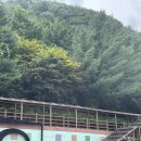 구공탄구이&gt; 삼겹살, 목살 먹기💛 내돈내산 ✨ / 하이원리조트 근처 맛집 🚎 / 진짜 또 가구 싶따.. 된장...