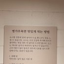 선릉역 점심 맛집 [명가우육면] 다녀온 솔직 후기