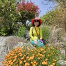 증도면사무소 이미지