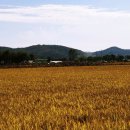 칠곡(부산) 이미지