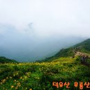 명산약국 Daum카페