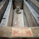 계룡산자연사박물관 이미지