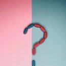 다이어트존 이미지