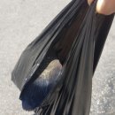동보수산 네이버블로그