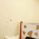 다소니 전통찻집 이미지