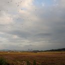 황금뜰 - 안산시 상록구 | 황금뜰