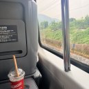 KTX 내일로 - 대전 3시간 찍먹 성심당 갔다온 후기 (망고시루vs망고롤 비교)