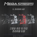 하이앤로우