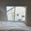 스테이인숲 이미지