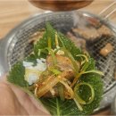 만만축산