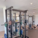 명지 삼정그린코아 웨스트 | [명지] 삼정그린코아웨스트 오피스텔 헬스장 후기💪🏻💪🏻🏋️‍♀️