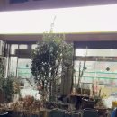 동광약국 이미지