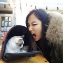 엘케이동물병원 이미지
