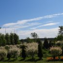 구리시민공원 매점 이미지