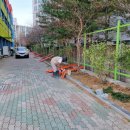 침산중학교 이미지