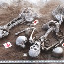 바얀불락 이미지