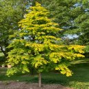 황금이식물원 이미지