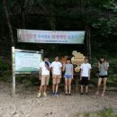 식장산 숲길 이미지