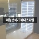 체형&채형 이미지