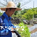 김명선농장 이미지