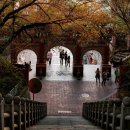 길따라행복 이미지