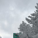 지에스(GS)25용곡삼거리점 | 제주도 눈덮힌 한라산 1100고지 보고온 후기:통제 확인, CCTV, 눈꽃뷰